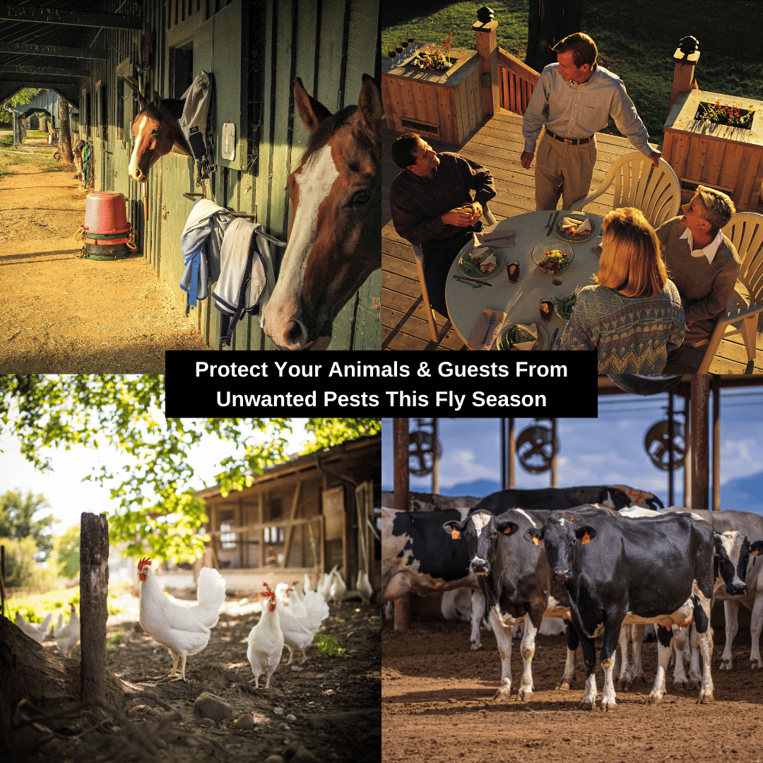 The Fly Hunter - Giant Hanging Bag Trap - Effortless Fly Control