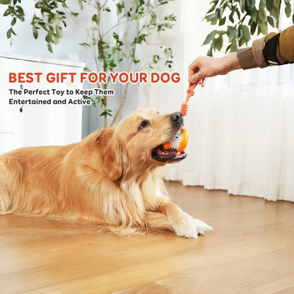 🐶The YOBENSUN™ – Keep Your Pet Relaxed, Happy & Content for Cat🐱 & Dog🐶