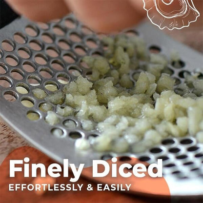 （Special Offer Now) Stainless Steel Garlic Presser