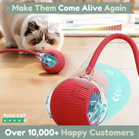 Magic Ball with Lights - Rechargeable, cat's favorite toy!