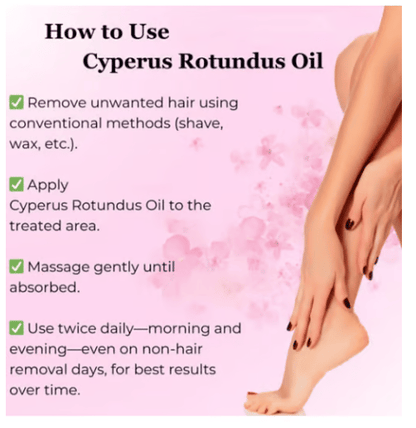 🔥Last Day 49% OFF ✨Cyperus Rotundus Oil