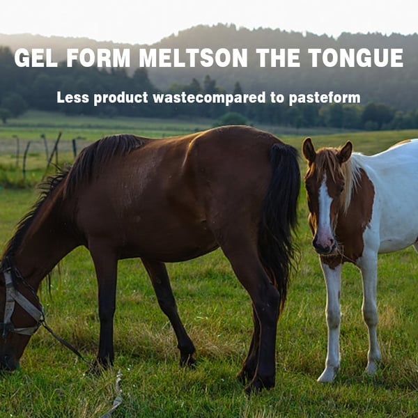 🔥Hot Sale 49% OFF - Ivermectin Horse Paste 1.87% 6.08g Tubes