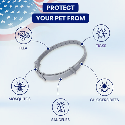 🔥Last Day 70% Off- Pet Deworming Collar