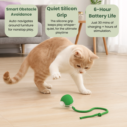 Magic Ball with Lights - Rechargeable, cat's favorite toy!