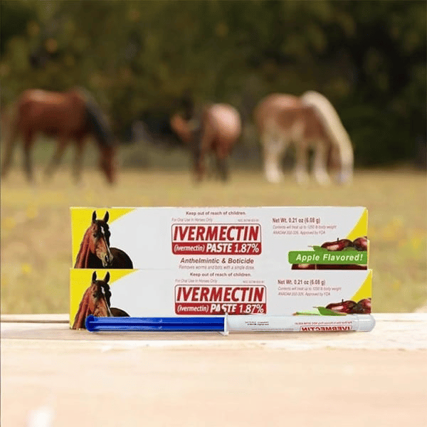 🔥Hot Sale 49% OFF - Ivermectin Horse Paste 1.87% 6.08g Tubes