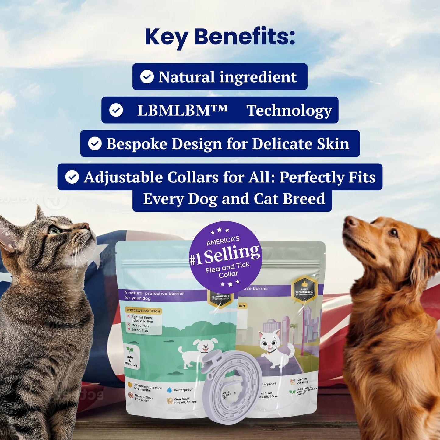 🔥Last Day 70% Off- Pet Deworming Collar