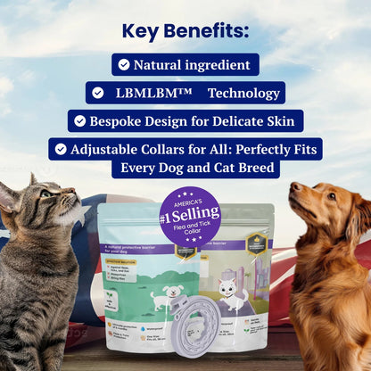 🔥Last Day 70% Off- Pet Deworming Collar