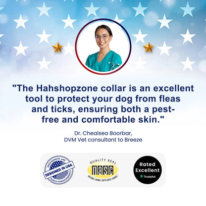 🔥Last Day 70% Off- Pet Deworming Collar