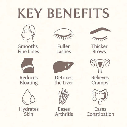 🌿Organic castor Oil Roll-On